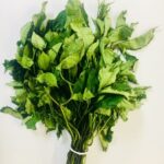 Ugu Leaf