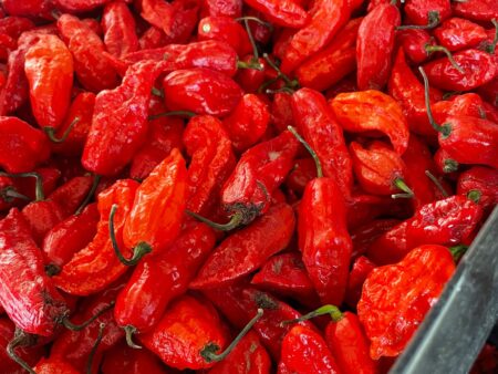 Ghost Pepper