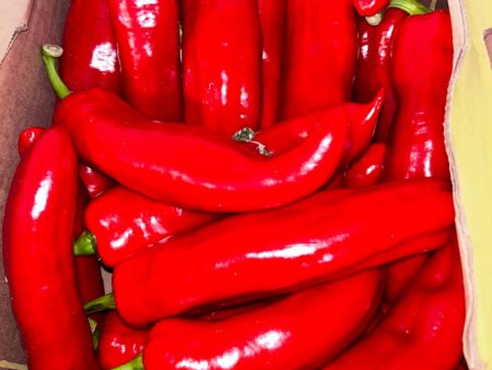 Shepherd Pepper