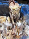Stewing Hen