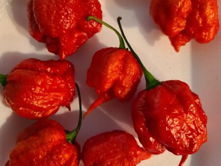 Ghost and Reaper Pepper