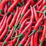 Hot Pepper