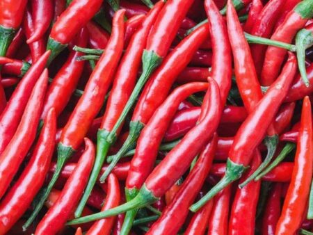 Hot Pepper
