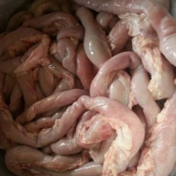 Cow Intestine (Roundabout)