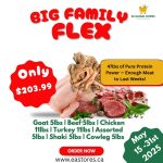 BIG FAMILY FLEX