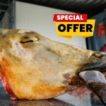 Cow Head Chop Life Fair