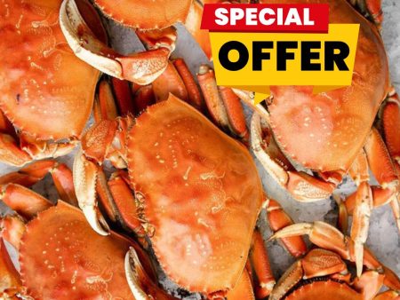 Crab - Chop Life Fair