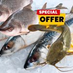 Fish – Chop Life Fair