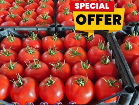 Fresh Tomatoes - Chop Life Fair