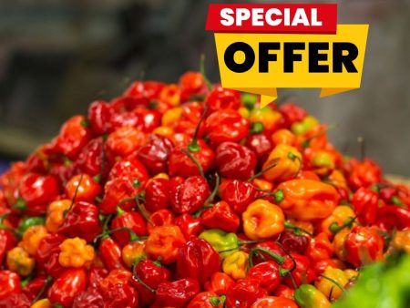 Scotch Bonnet - Chop Life Fair
